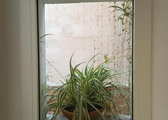 Citta Giardino 4* רומא